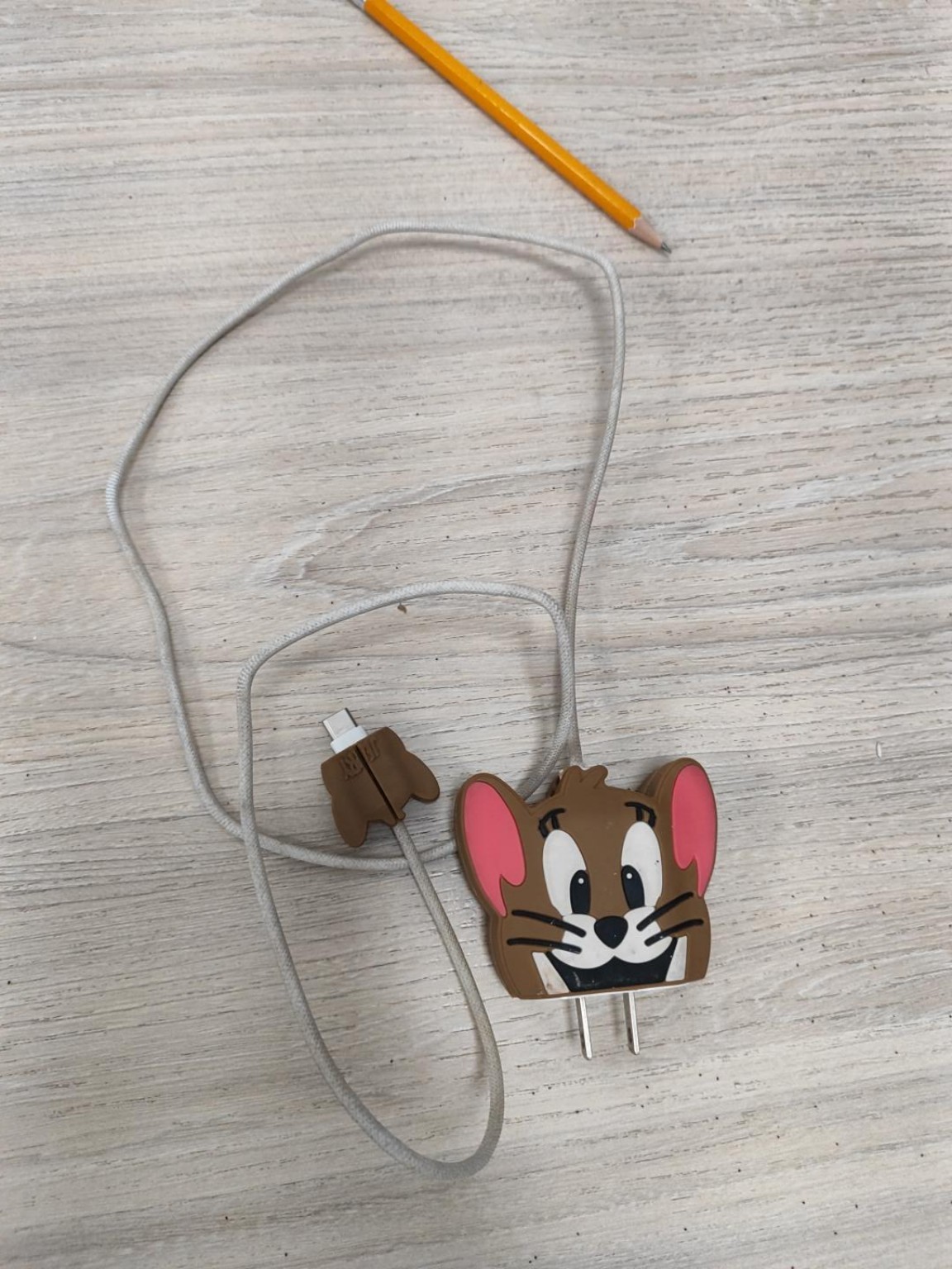Cargador con funda de Jerry, evidencia del hallazgo en Sala de Sistemas